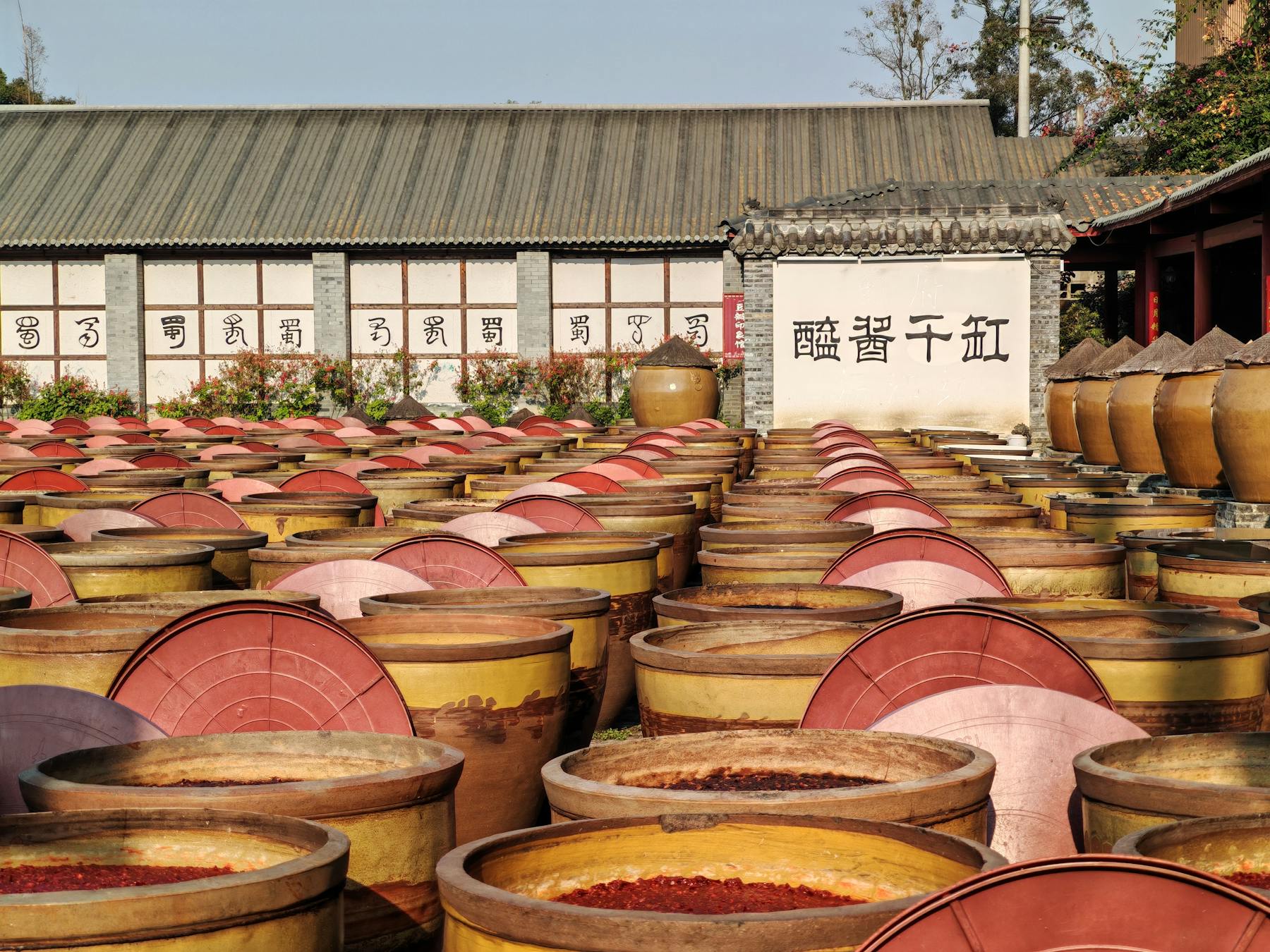 酒厂庭院里的固态发酵缸、晒场与酿造空间